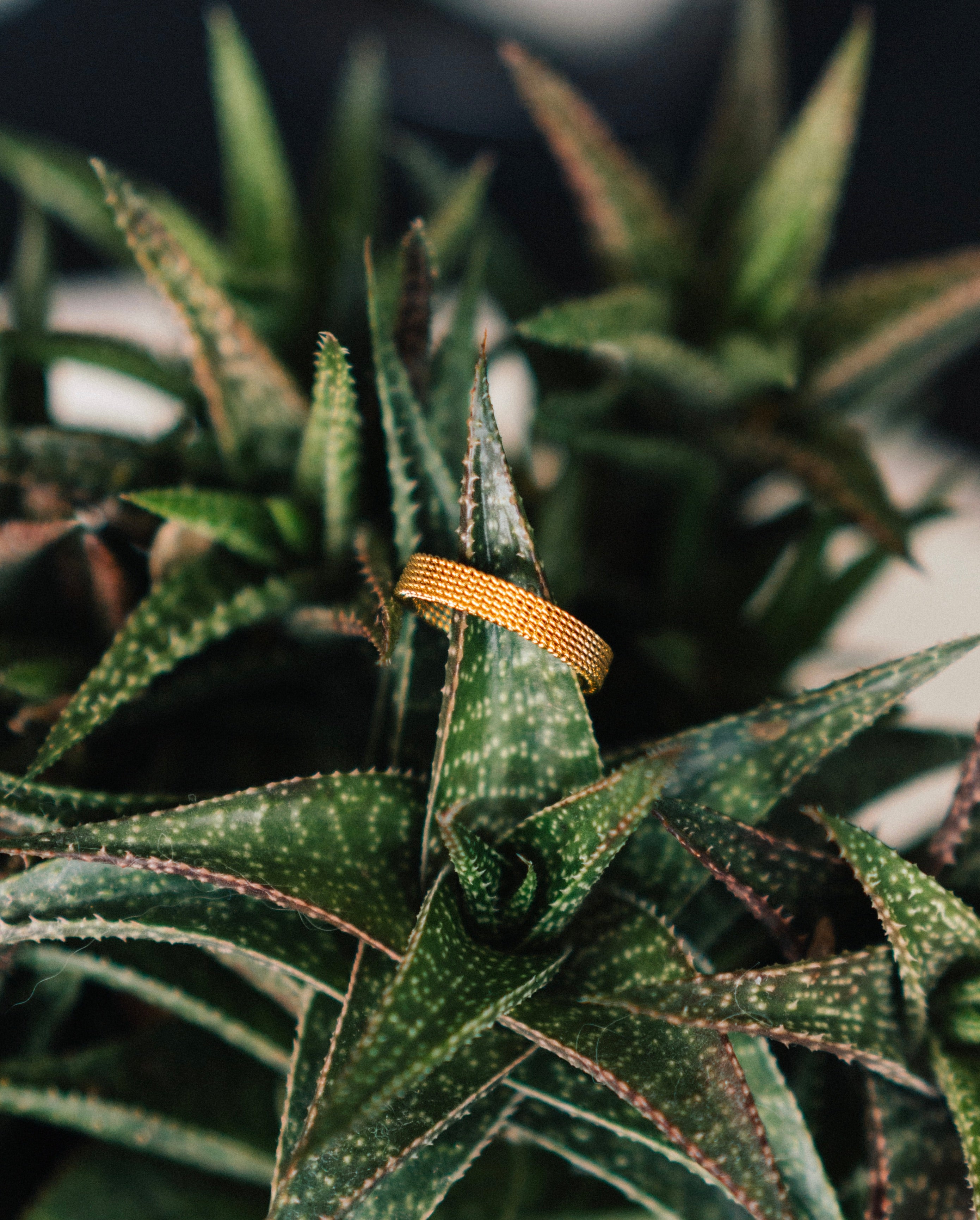 Chunky Chain Ring