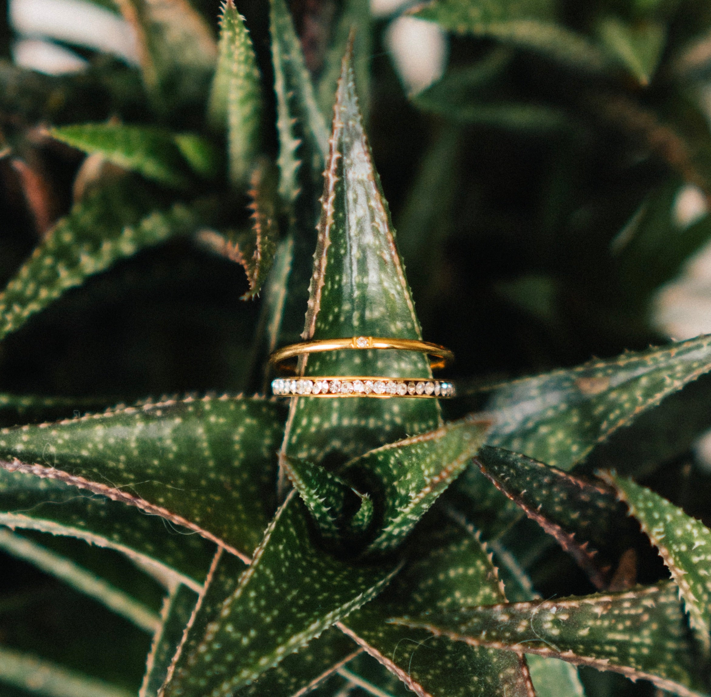 Set ~ Tiny Diamond and Diamond Lined Rings