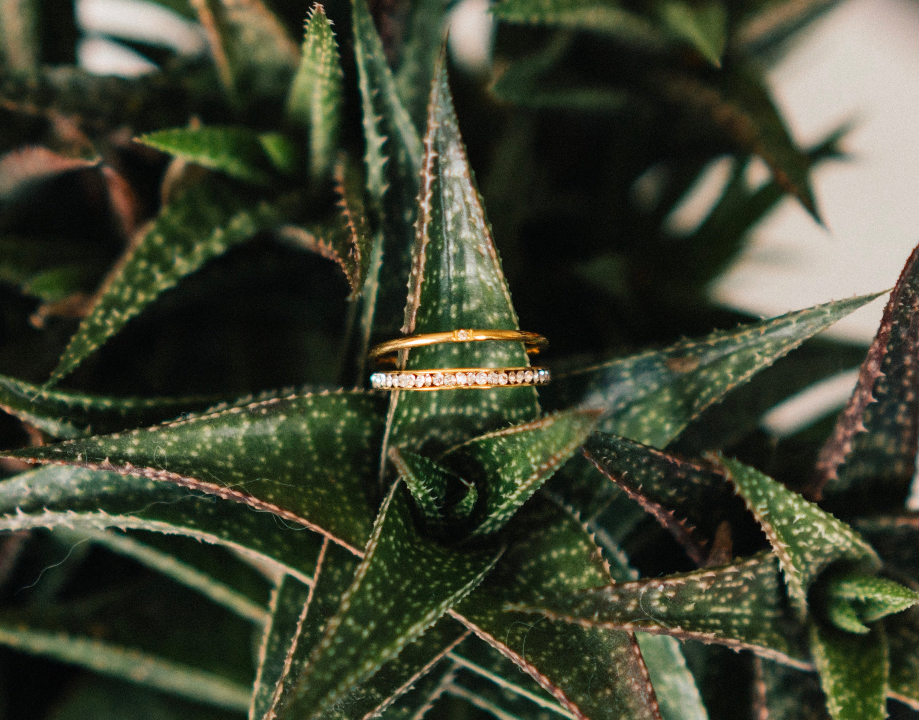 Set ~ Tiny Diamond and Diamond Lined Rings