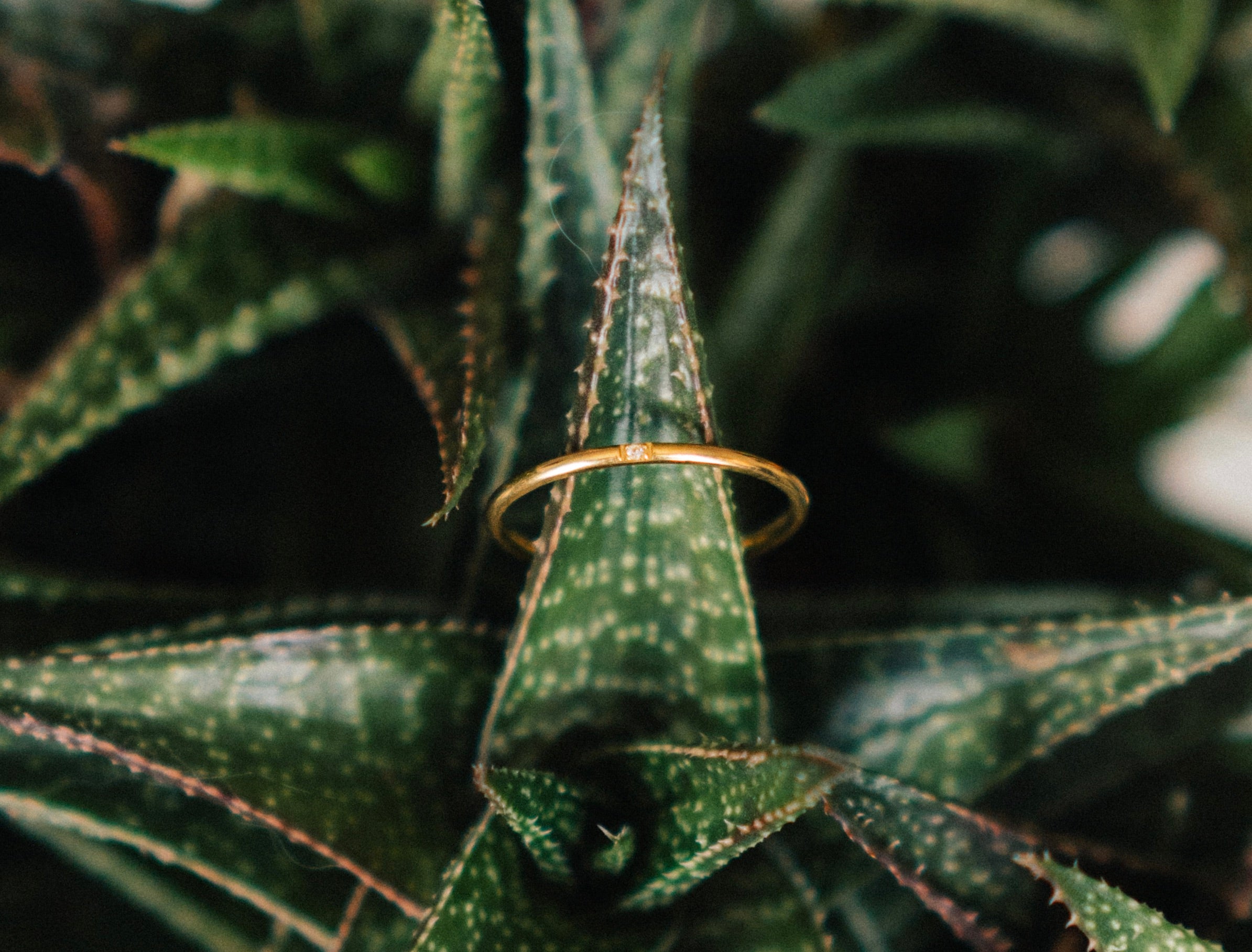 Tiny Diamond Ring